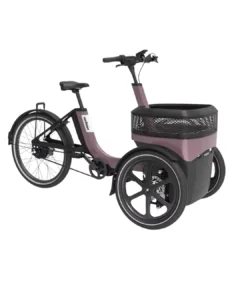 Van Raam Thuja Active